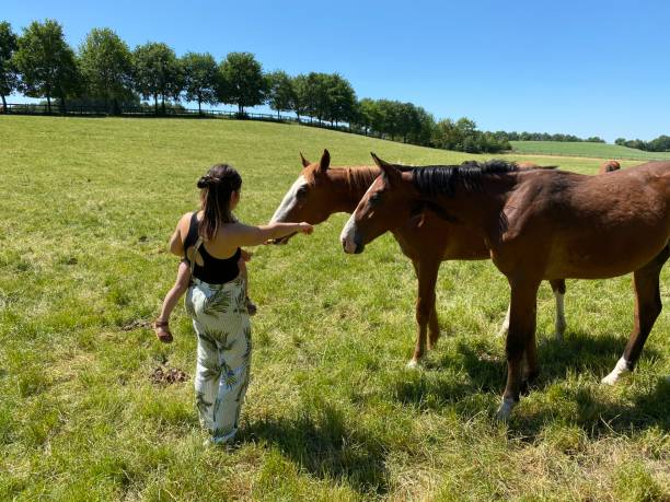 istock Mother with little son at the horses 1231892130