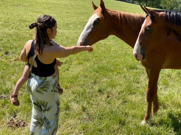 istock Mother with little son at the horses 1231892674