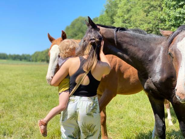 istock Mother with little son at the horses 1231892679