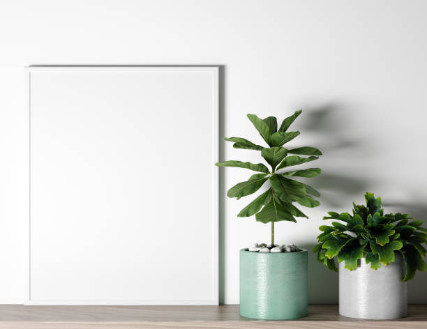istock Mock up interior frame in white background, close up for two small plant on wooden shelf, 3D render, 3D illustration 1231897365