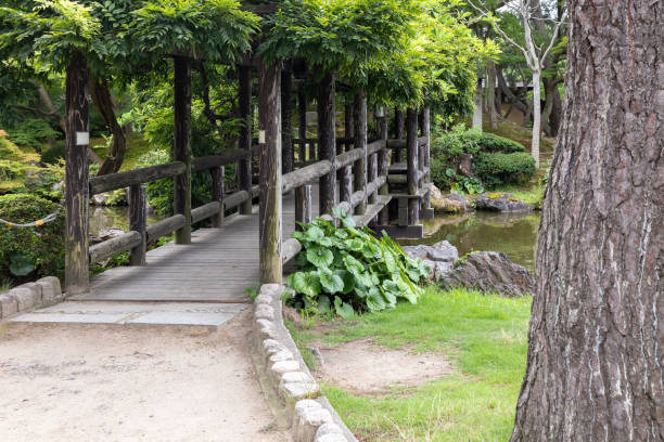 istock Scene at Park in Niigata, Japan 1231905788