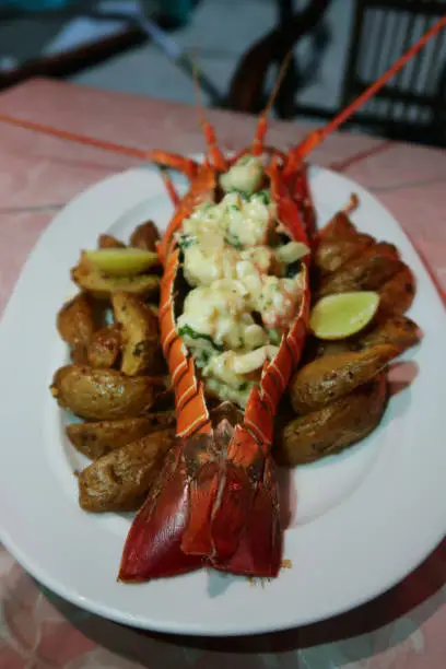 Photo of Image of freshly baked Lobster Thermidor served surrounded by potato wedges / chips, delicious lobster meat made with cheese, butter and garlic sauce served in shell at restaurant in Goa, India, elevated view