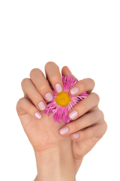 istock Beautiful female hands isolated on white background. 1231975081