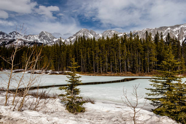 istock Water showing through Upper Lake. Peter Lougheed Provincial Park,  Alberta, Canada 1231975803