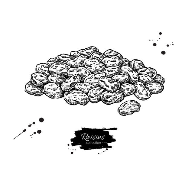 1,100+ Raisin Drawing Stock Illustrations, Royalty-Free Vector