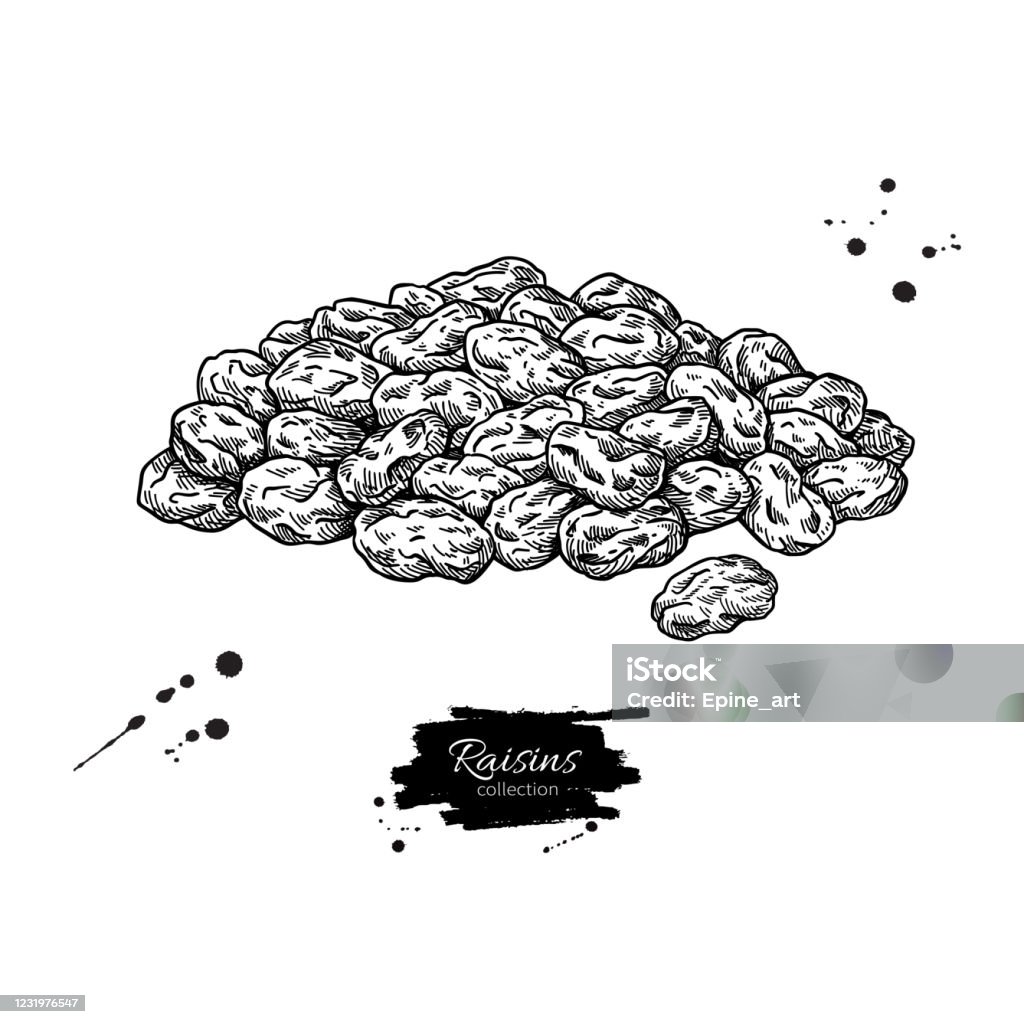 Drawable Raisins Raisins Drawing Easy at Douglas Hammond blog