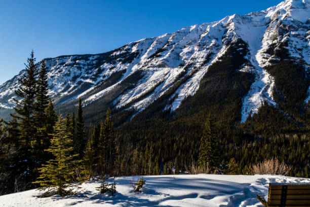 istock Kananaskis Range in winter, Peter lougheed Provincial Park, Alberta, Canada 1231977915