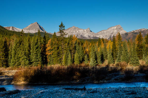 istock Summer hills in Peter Lougheed Provincial Park, Alberta, Canada 1231981006