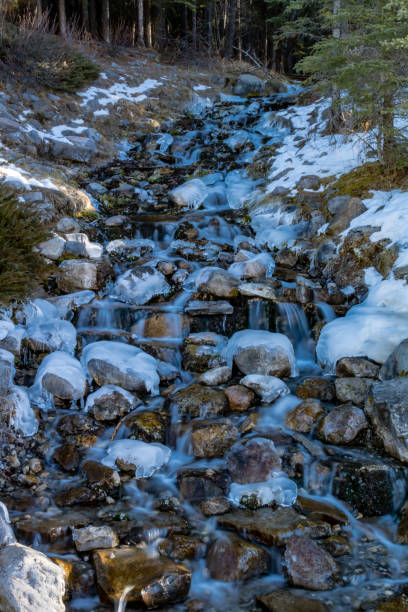 istock Surrounding mountains as seen from Mount Lorette Ponds, Bow Valley Provincial Park, Alberta, Canada 1231983414