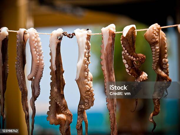 Octopuses Auf Einer Schnur Stockfoto und mehr Bilder von Cephalopode - Cephalopode, Essen am Tisch, Europa - Kontinent