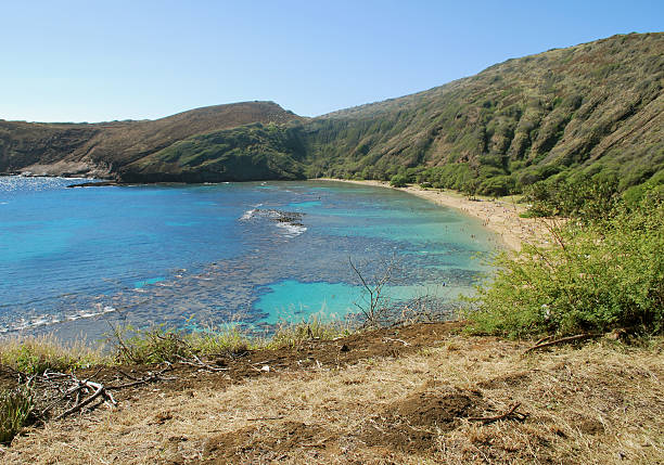 istock Hanauma Bay Nature Preserve, Hawaii 123199309