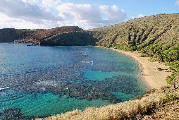 istock Hanauma Bay Nature Preserve, Hawaii 123199423