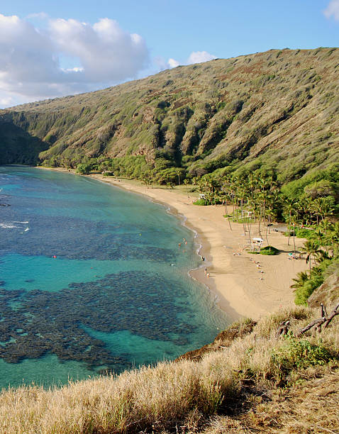 reserva natural de la bahía hanauma, hawai - hanauma bay hawaii islands oahu bay fotografías e imágenes de stock