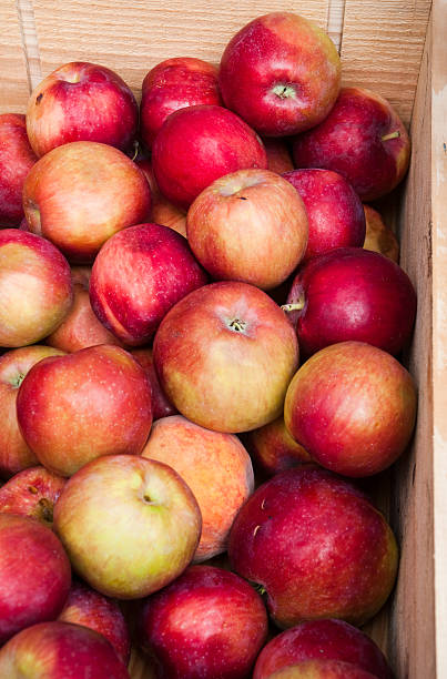 istock Crate of Early Apples 123199854