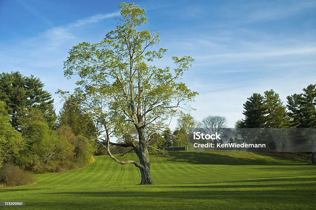 Spring Landscape  Wellesley - Massachusetts Stock Photo