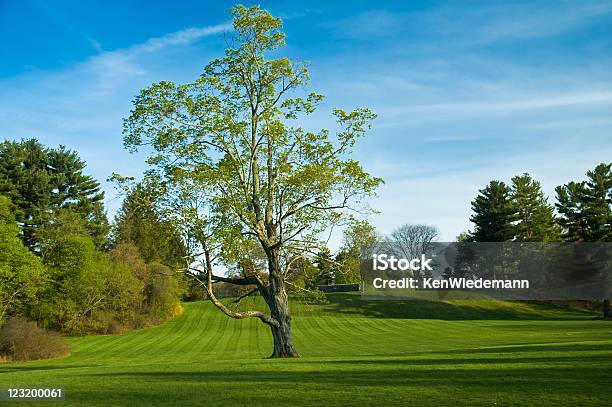 Spring Landscape Stock Photo - Download Image Now - Wellesley - Massachusetts, Massachusetts, Color Image