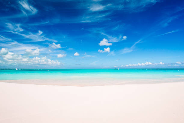 istock Idyllic tropical beach in Caribbean with white sand, turquoise ocean water and blue sky 1232001613