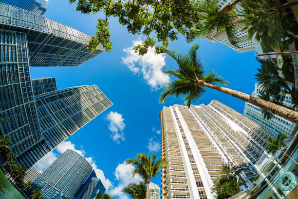 downtown miami - apartment skyscraper florida architecture stock-fotos und bilder