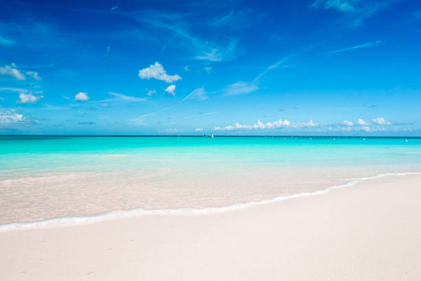 istock Idyllic tropical beach in Caribbean with white sand, turquoise ocean water and blue sky 1232005910