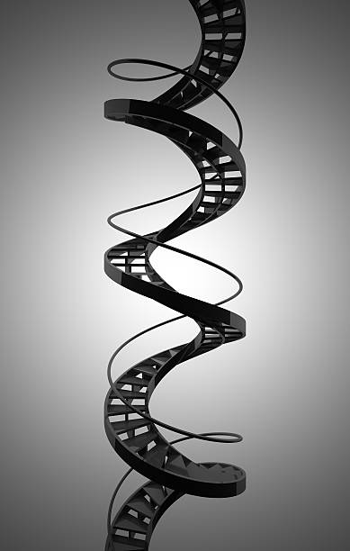 Spiral staircase resembling DNA stock photo