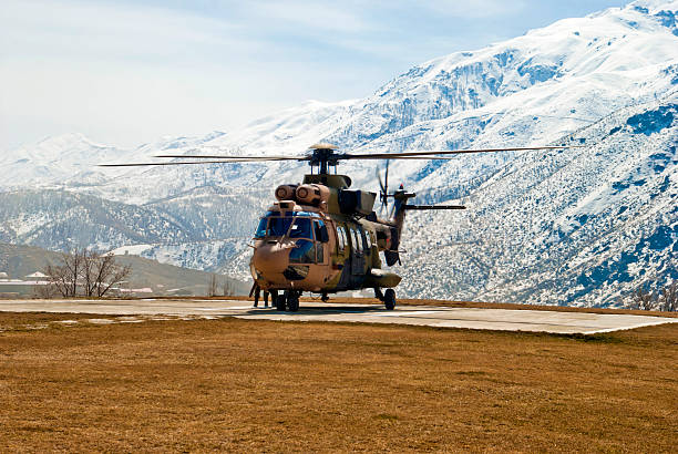 cougar en hélicoptère - as532 photos et images de collection