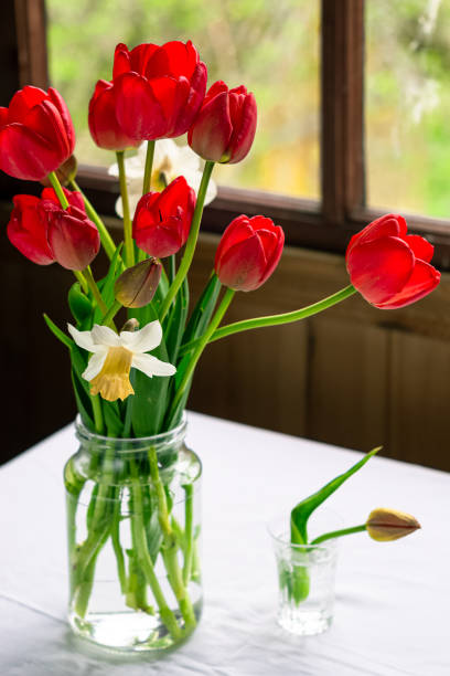 istock Bouquet of red tulips on a table with window in background 1232062697