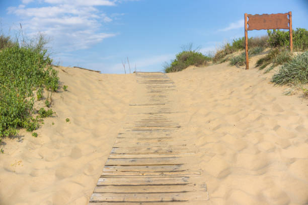 istock boardwalk leading to the beach on the sand 1232075533