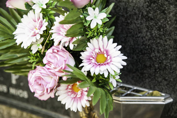 istock Center of daisy flowers 1232087808