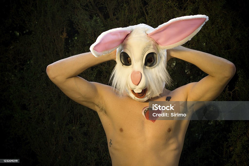 Muscle Bunny A well toned guy wearing a rabbit head. Rabbit - Animal Stock Photo