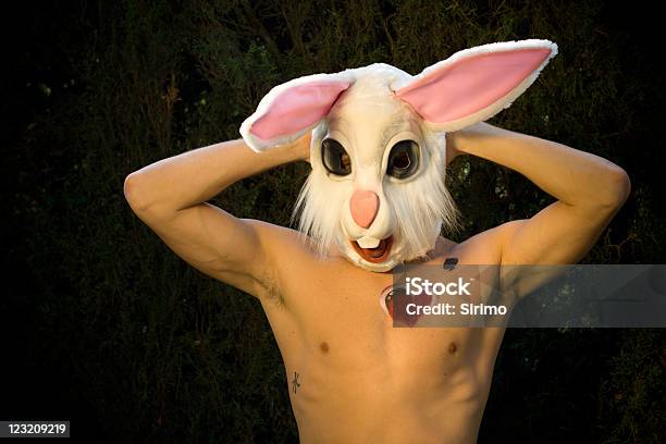 Muscle Bunny Stock Photo - Download Image Now - Rabbit - Animal, Men, Spooky