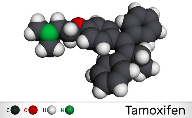 istock Tamoxifen, C26H29NO molecule. It is antineoplastic nonsteroidal antiestrogen, used in the treatment and prevention of breast cancer Molecular model 1232115589