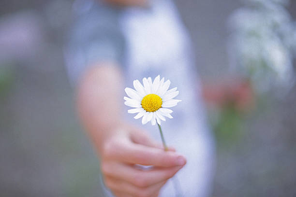 istock Offering Flower - Sign of Peace 123215819