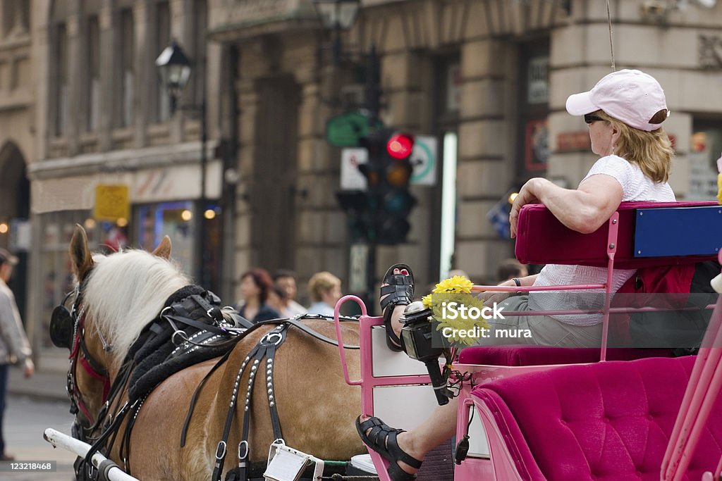 Horsecarriage ride - Photo de Cheval libre de droits