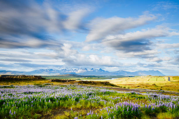 istock Magical valley glowing by sunlight. Perfect day and gorgeous morning scene. 1232191605