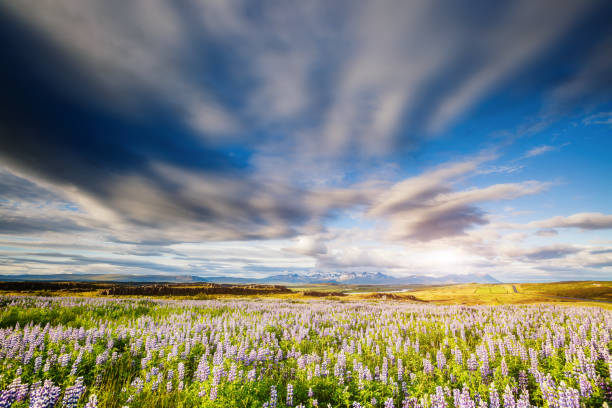 istock Magical valley glowing by sunlight. Perfect day and gorgeous morning scene. 1232192110