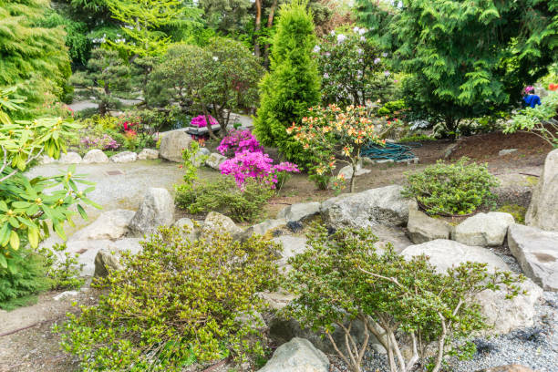istock Scenic Seatac Garden 5 1232215512