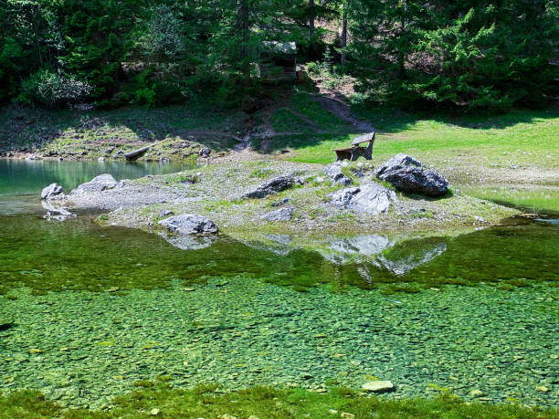 istock Bench At Green Lake Austria 1232219987