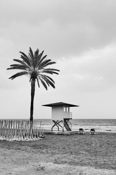 istock Beach with palm tree in low season 1232225359