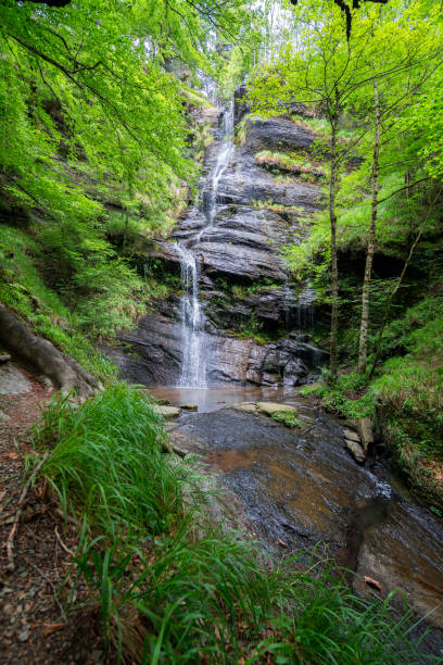 istock beautiful waterfall in the middle of a forest 1232256861