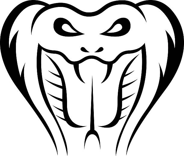 kuvapankkikuvitukset aiheesta kobra-käärmeen kuvitus - kuningaskobra