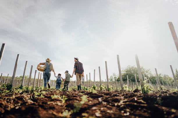 istock Family walk through the plantation 1232295536