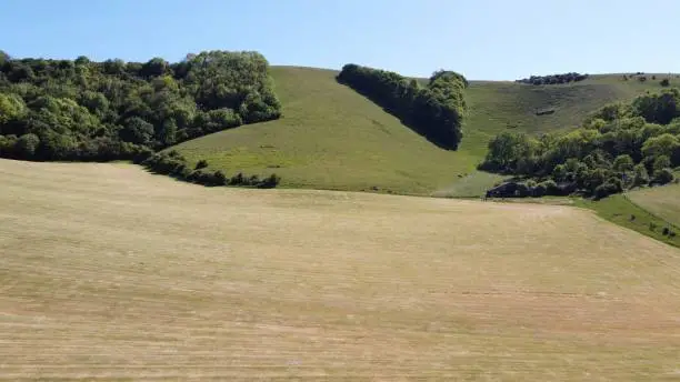 Over 3000 trees were planted in 1887 to mark Queen Victoria's Jubilee on the Sussex Southdowns in England. Situated near the rural village of Plumpton.