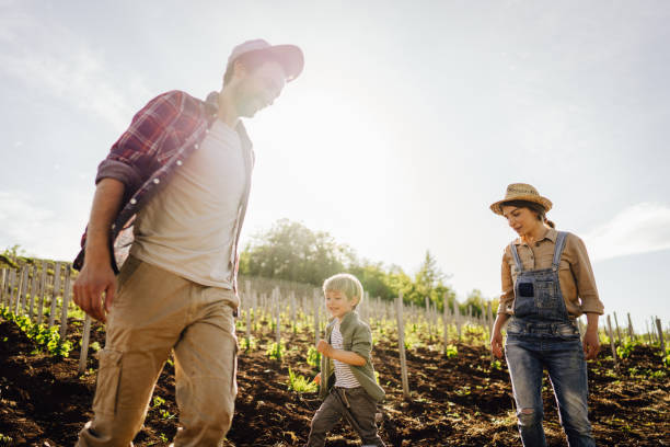 istock Little boy with parents on their plantation 1232314039