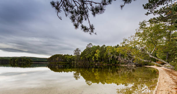 istock Tree reflections at waterfront, Baxter State Park, Maine, USA 1232341312