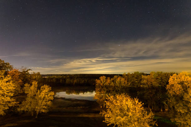 Night Sky over trees in autumn, Pennsylvania, USA