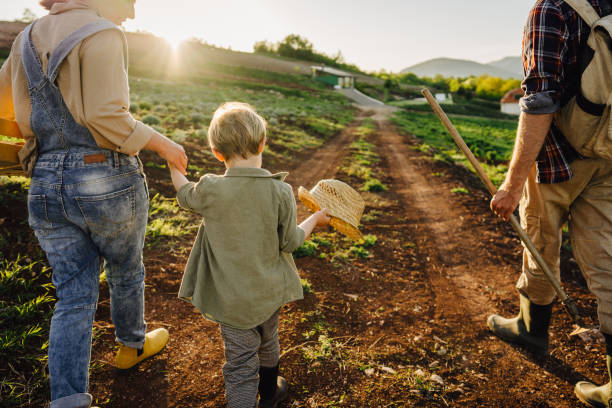 istock Enjoying sunny day at the farm 1232366329