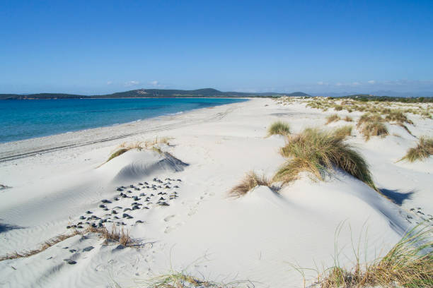istock The white dunes of Teulada's Is Arenas Biancas Beach 1232425488