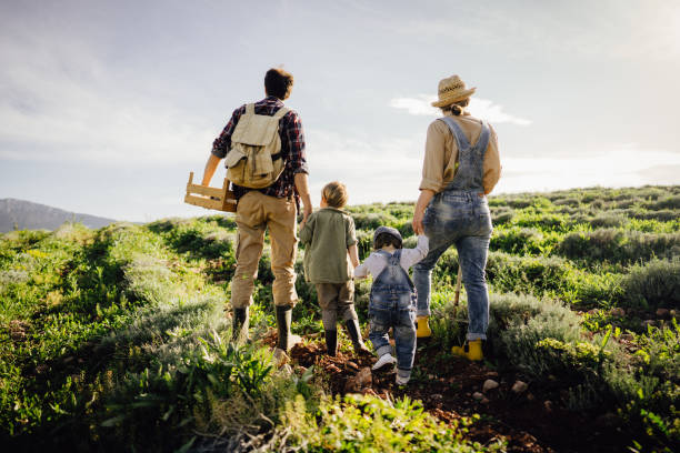 istock Touring our plantation 1232433778