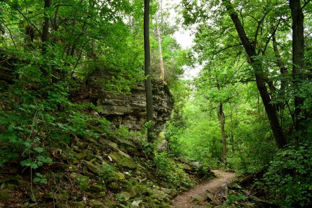 istock Footpath along a tall limestone outcropping 1232458415