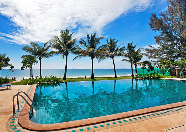istock reflections of palms in the pool 123248433